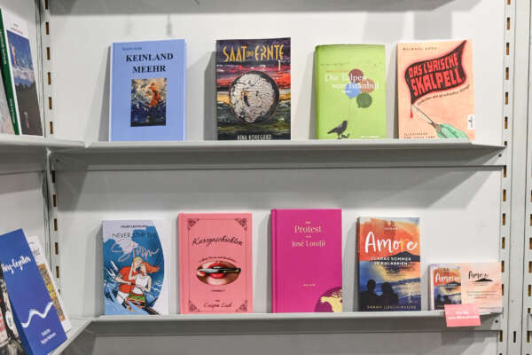 Regalwand Erzaehlungen Romane Lyrik 3