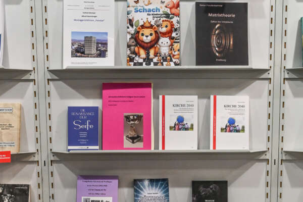 Regalwand Wissen Verstehen 2