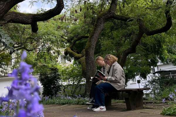 Emely und Ronja sitzen lesend auf einer Parkbank umrahmt von alten Bäumen.
