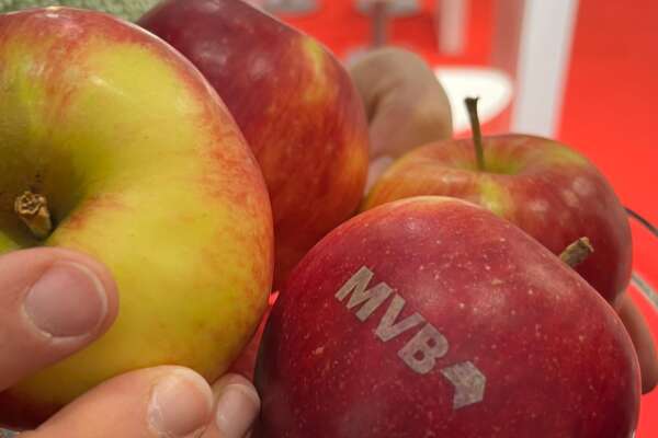 Äpfel, auf denen das MVB Logo zu sehen ist.