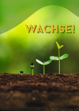 Plakat zum Lesemotiv Optimieren mit Keimlingen, die aus der Erden wachsen und der Überschrift Wachse